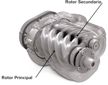 Bloque helicoidal asimétrico de dos rotores lubricado